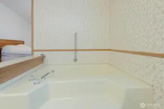 Primary 5 piece bath.