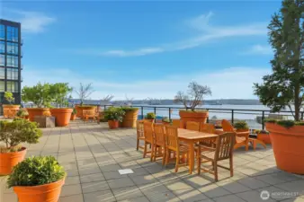 Check out these cool potted planters on the fabulous rooftop deck!