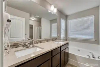 Primary Bedroom Bathroom