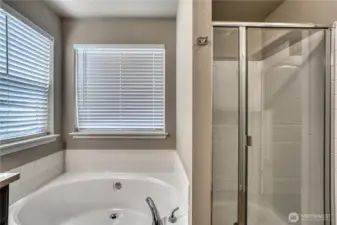 Primary Bedroom Soaking Tub & Shower