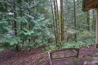 small creek boarders the property