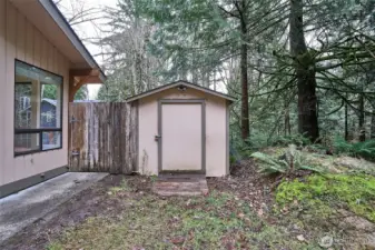 Shed for extra storage