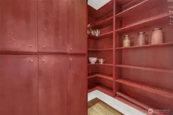 Large walk-in pantry with tons of storage