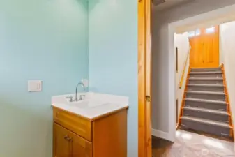 Lower-level FULL Bath/laundry