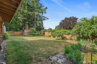 Back Yard with Apple Tree