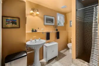 Basement Bathroom