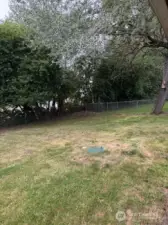 Fenced backyard