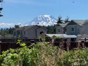 View from the back of your home of Mt Rainer