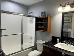 Main Bath with glass enclosure tub
