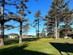 View from deck looking NW