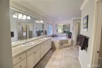 Ahhh, the Primary Bath, Double Sink, Marble tile counters, Soaking tub, Walk in Closet, Large Shower and private toilet.
