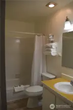 Bathroom 1