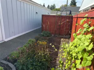 Garden area