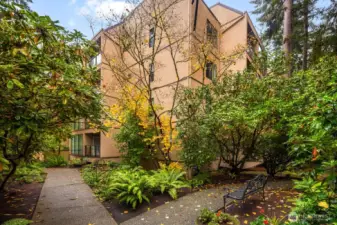 Exterior view of the St. Moritz A Building nestled among tall cedars and autumn color.