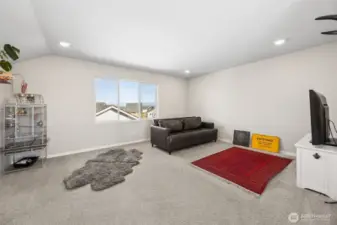 Perfect flex space for a home office, play room, media room - you name it