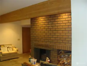 Downstairs Fireplace