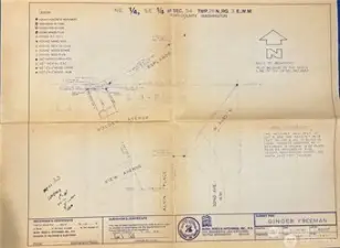 1981 Survey