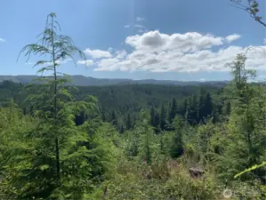 view from neighboring property