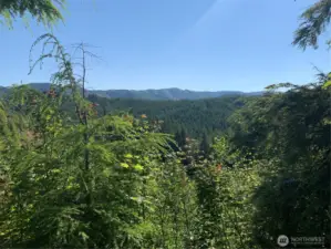 view from edge of property