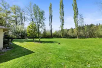 Back yard built up and reseeded a few years ago