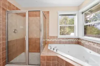 Primary shower and jetted tub!