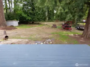 A backyard like a state park!