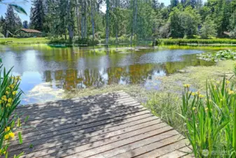 Lake View