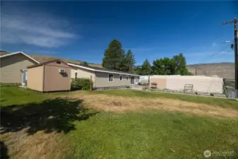 Back yard