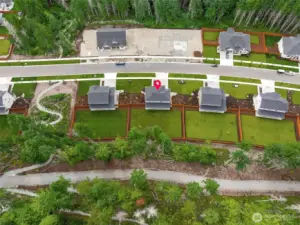 Approx 1/3 acre in Tehaleh