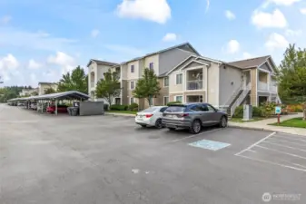Ample parking options - covered carports, open spaces.  This is your building as seen from the street, and the sidewalk leading to it!
