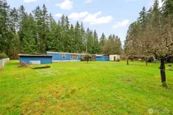 Back of Home-Huge Backyard!