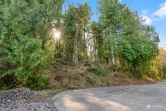 Experience the tranquility of this peaceful private community with a leisurely drive through Gig Harbor's Historic area to Crescent lake.
