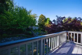 A simply beautiful view to wake up to or enjoy your favorite evening beverage before you retire for the day.