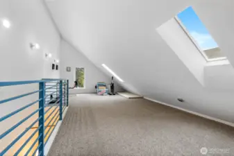 Plenty of extra room in the bonus loft! Skylights keep everything bright on those dark winter days.
