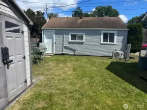 back yard
