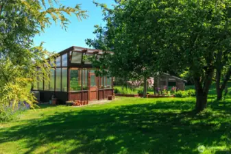 Modern Greenhouse with power, water, circulation and automatic window vents for maximizing your growing year-round.