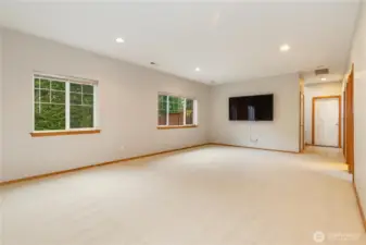 downstairs family room