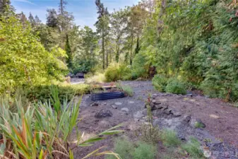 another view of the trail