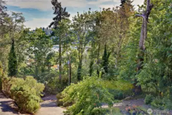 peek-a-bo view of the water