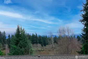 Terrestrial view from the deck