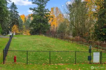 Fairwood Dog park