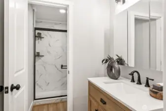 Lower level bathroom