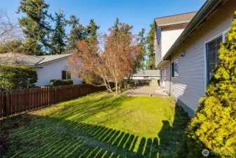 Fully fenced backyard
