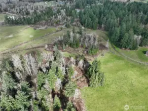 Property extends past to the right of where you entered, patch of trees is about in the middle of the 40 acres