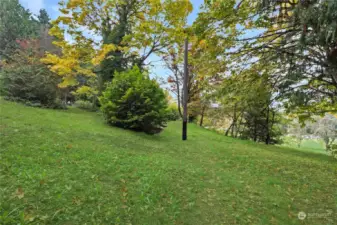 The slope on the east side of the property