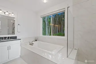 Primary ensuite bathroom with soaking tub & low step shower.