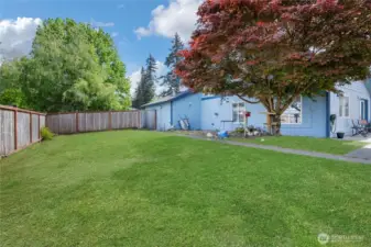 Corner lot gives lots of yard space.
