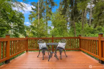 Fun "treehouse" deck