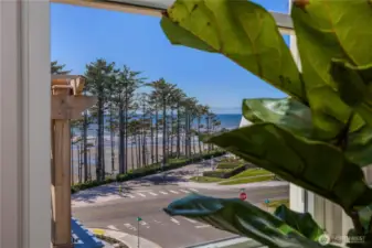 Primary bedroom ocean view