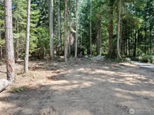 View from west side of building site